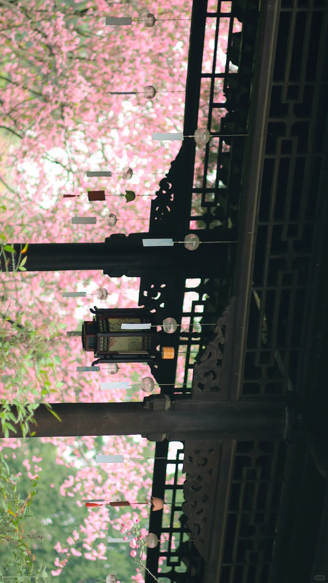 全屏封神挑战｜来看看18岁女摄拍的南京