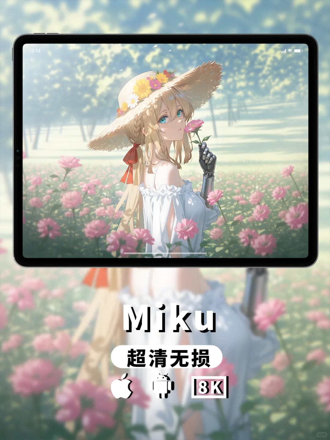 壁纸｜薇尔莉特丨紫罗兰永恒花园~