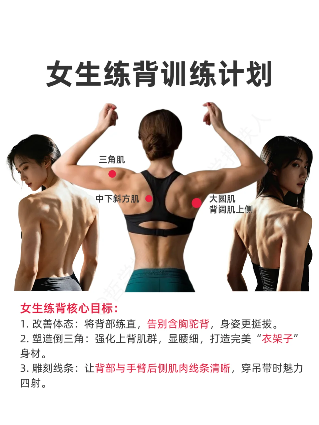 女生练背训练计划，挺拔、倒三角、有线条