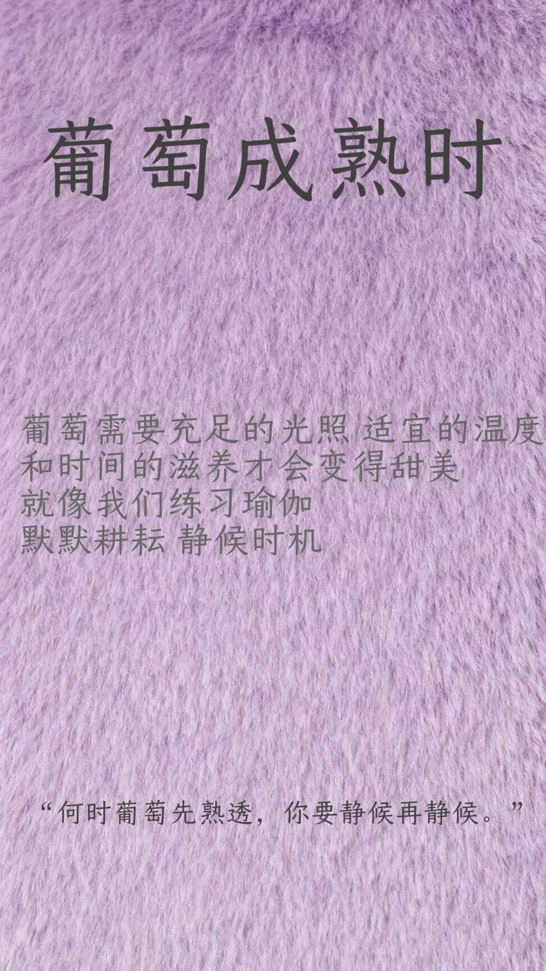 新品2️⃣——葡萄成熟时🍇