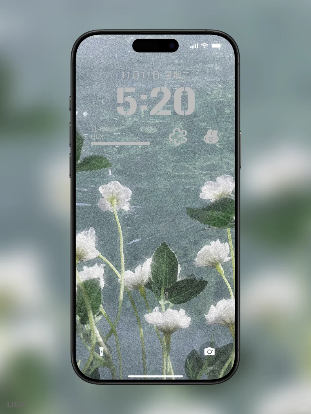 《氛围感拉满的白百合手机壁纸｜把清新与温柔