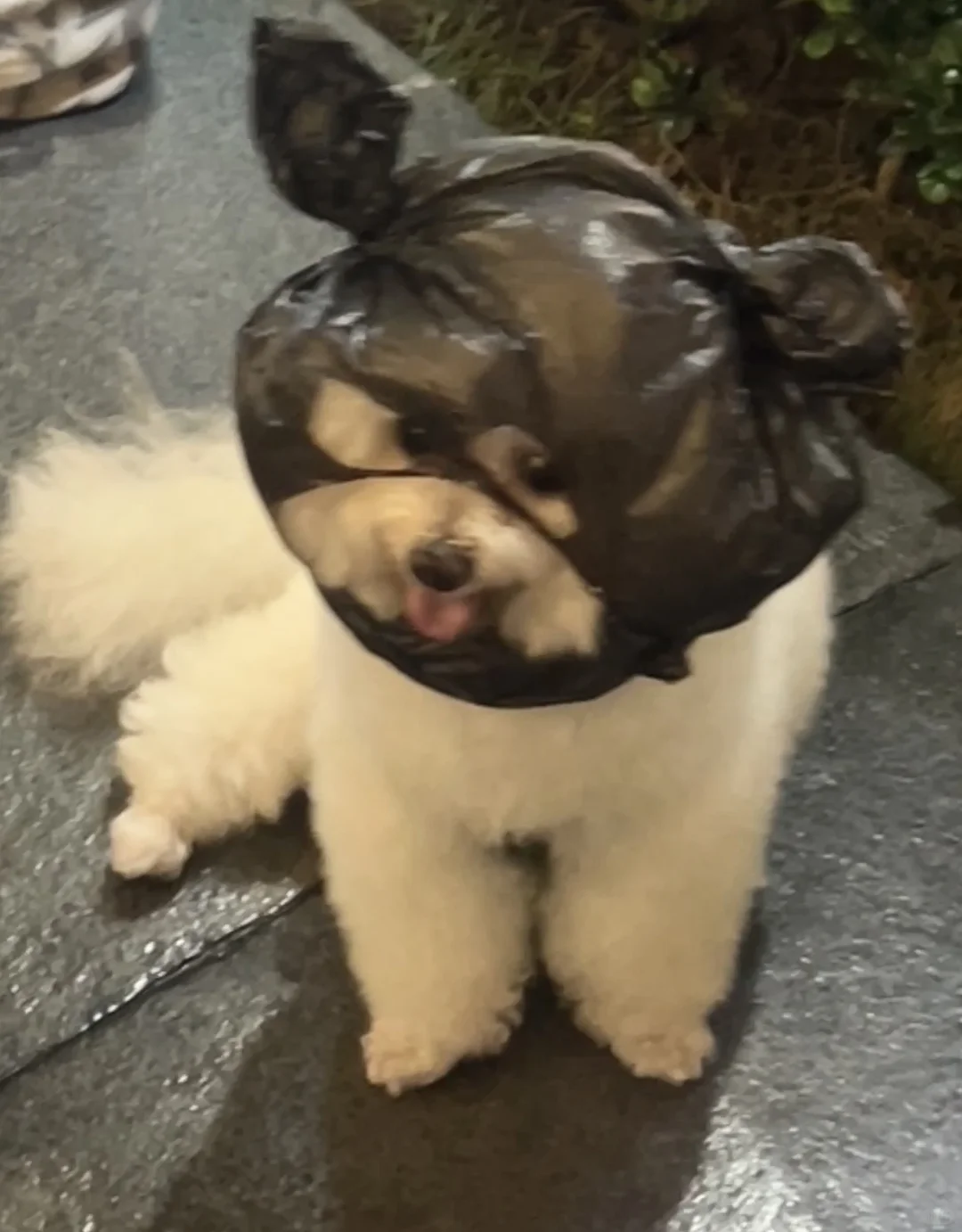 对不良诱惑 说no