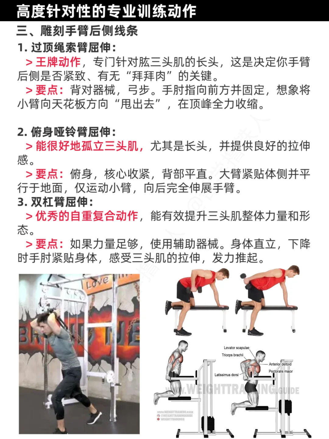 女生练背训练计划，挺拔、倒三角、有线条