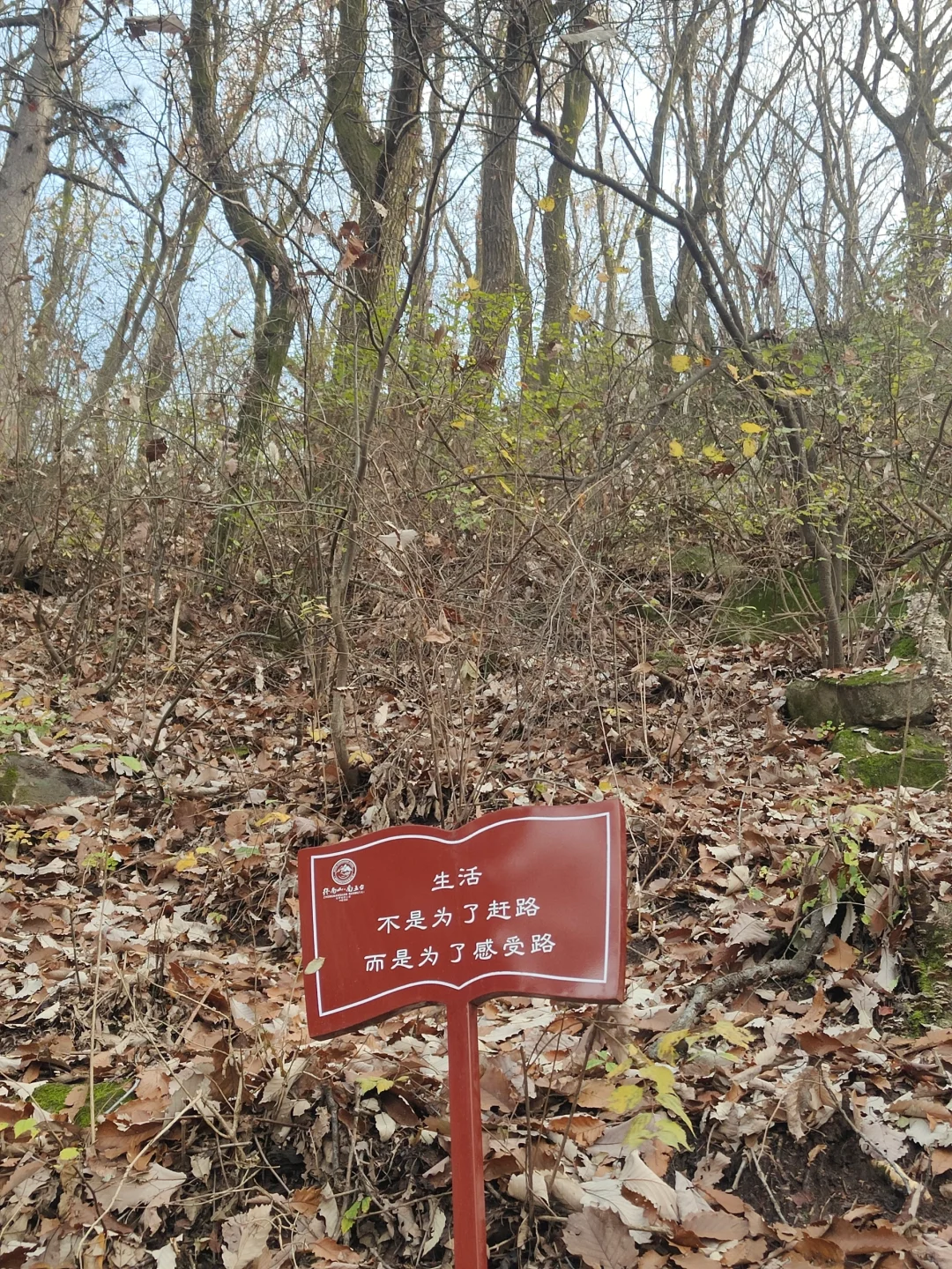 站在这里，姐就是这风景线！