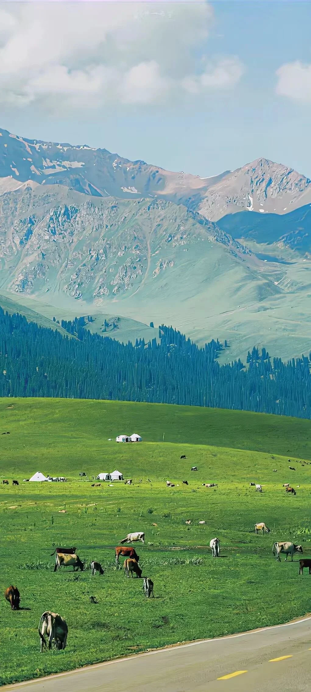 share/氛围感壁纸