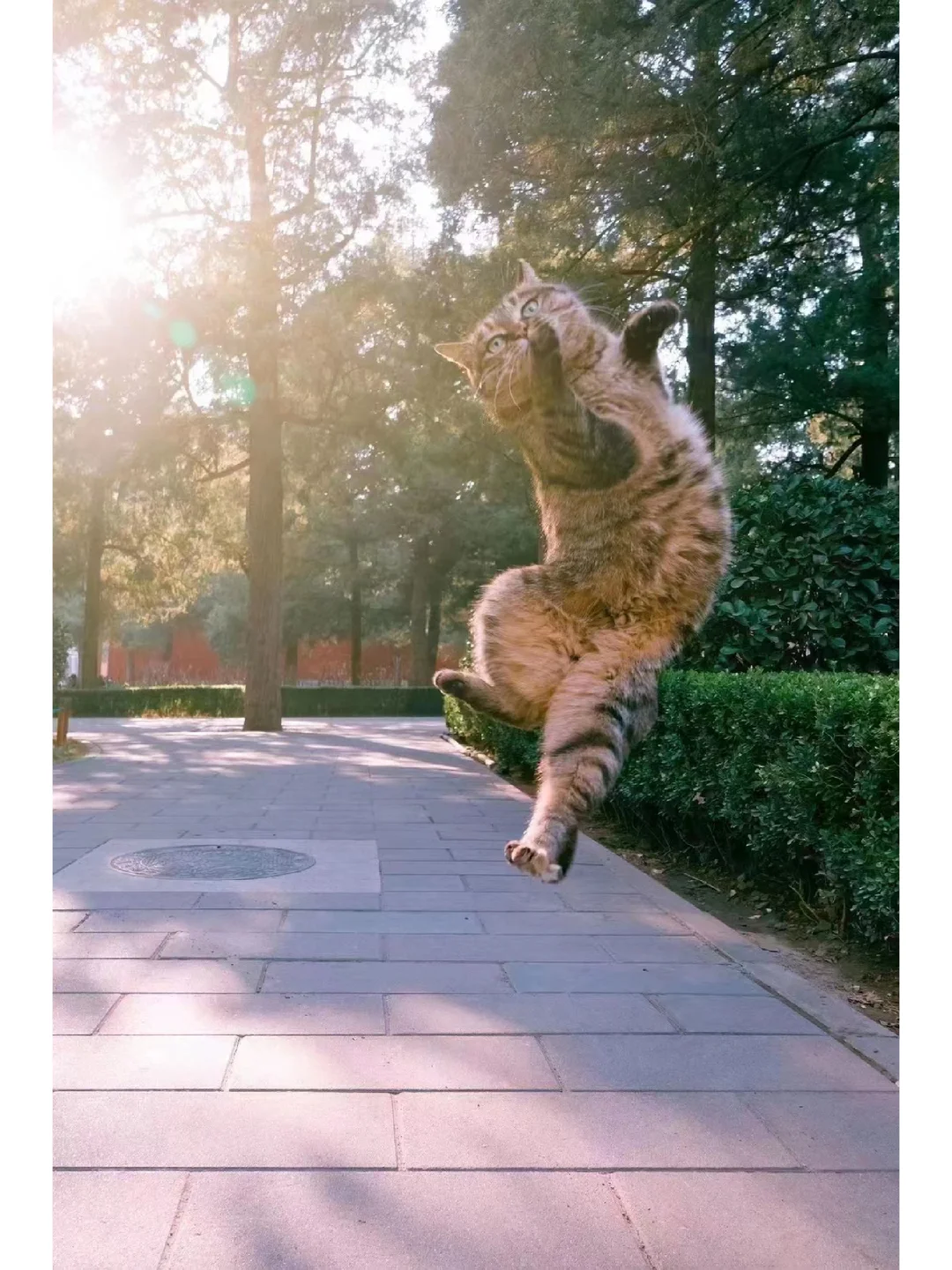 这妖娆妩媚好身材