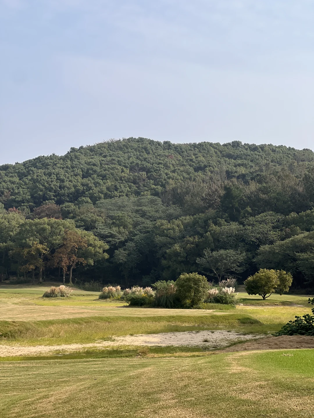 关于高尔夫，我拍了拍你～