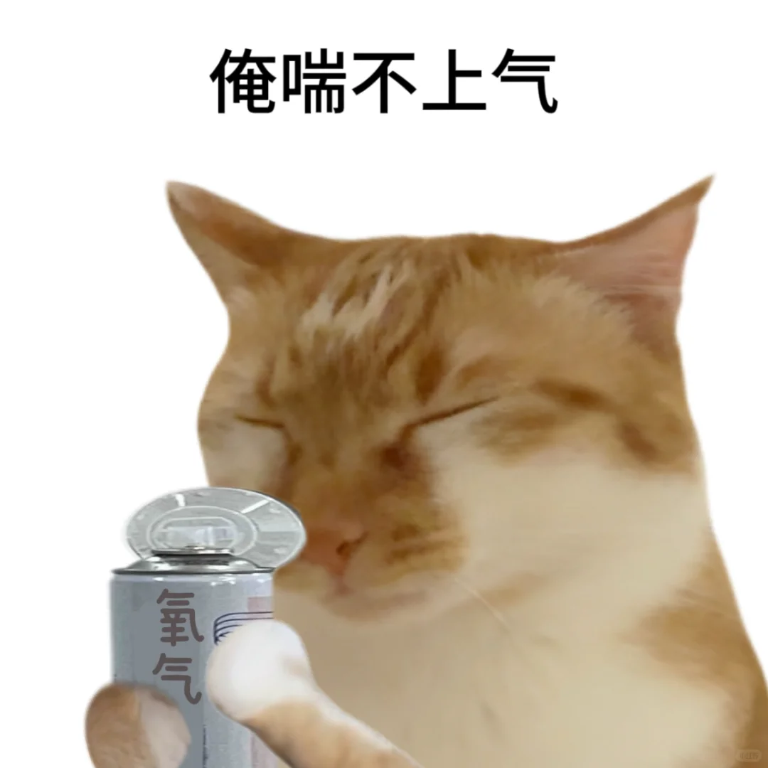 俺不得劲的时候就发这组表情包