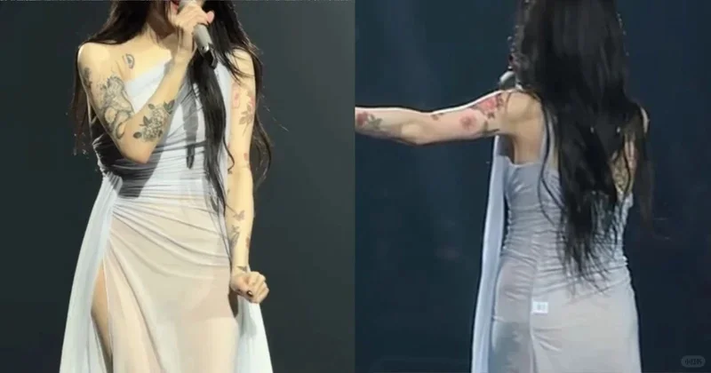 韩知名女歌手透视装开唱疑真空上阵