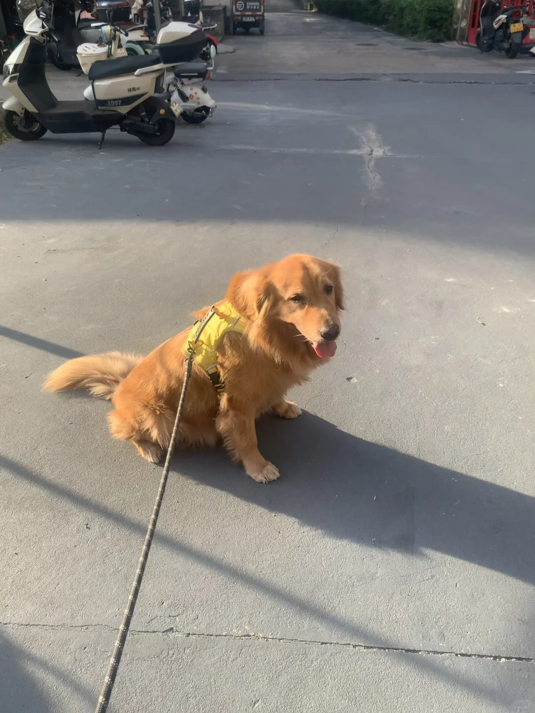 【找合租】750！广州新塘白江地铁口2房1厅限女