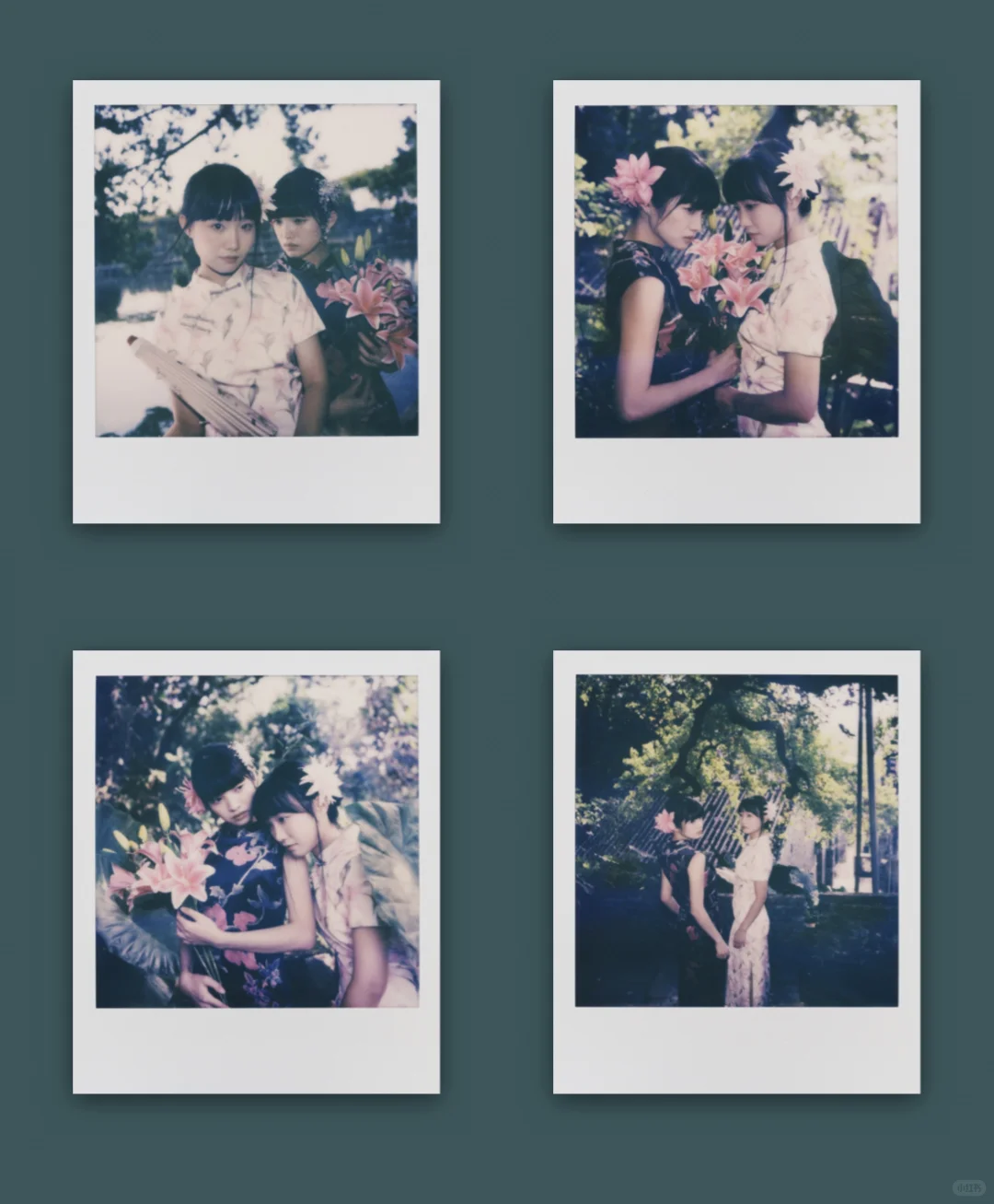 宝丽来｜女人如花花似梦