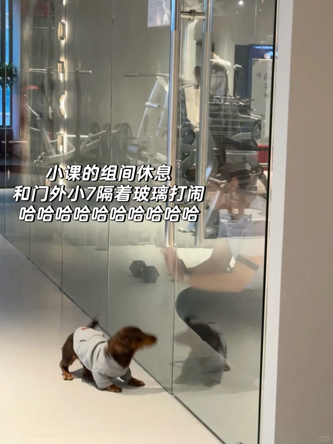 赣州全女健身房7seven 体验记录📝（下）