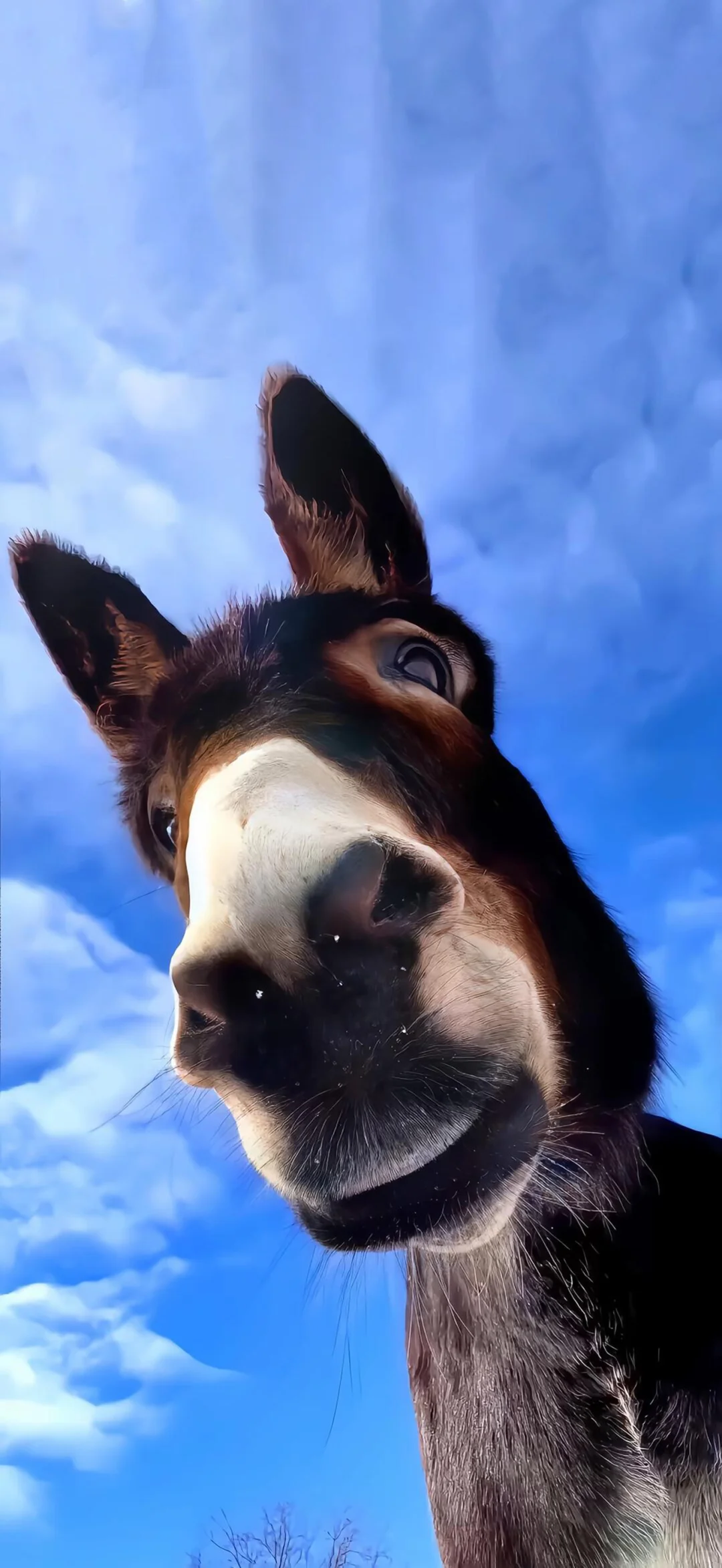 iOS26｜深景高清壁纸