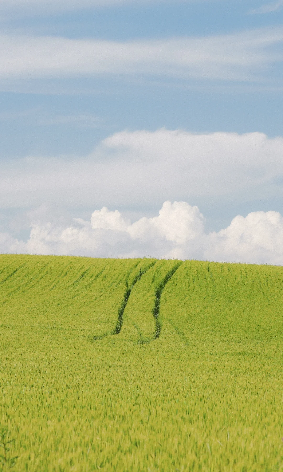 全屏封神挑战｜自然的留白