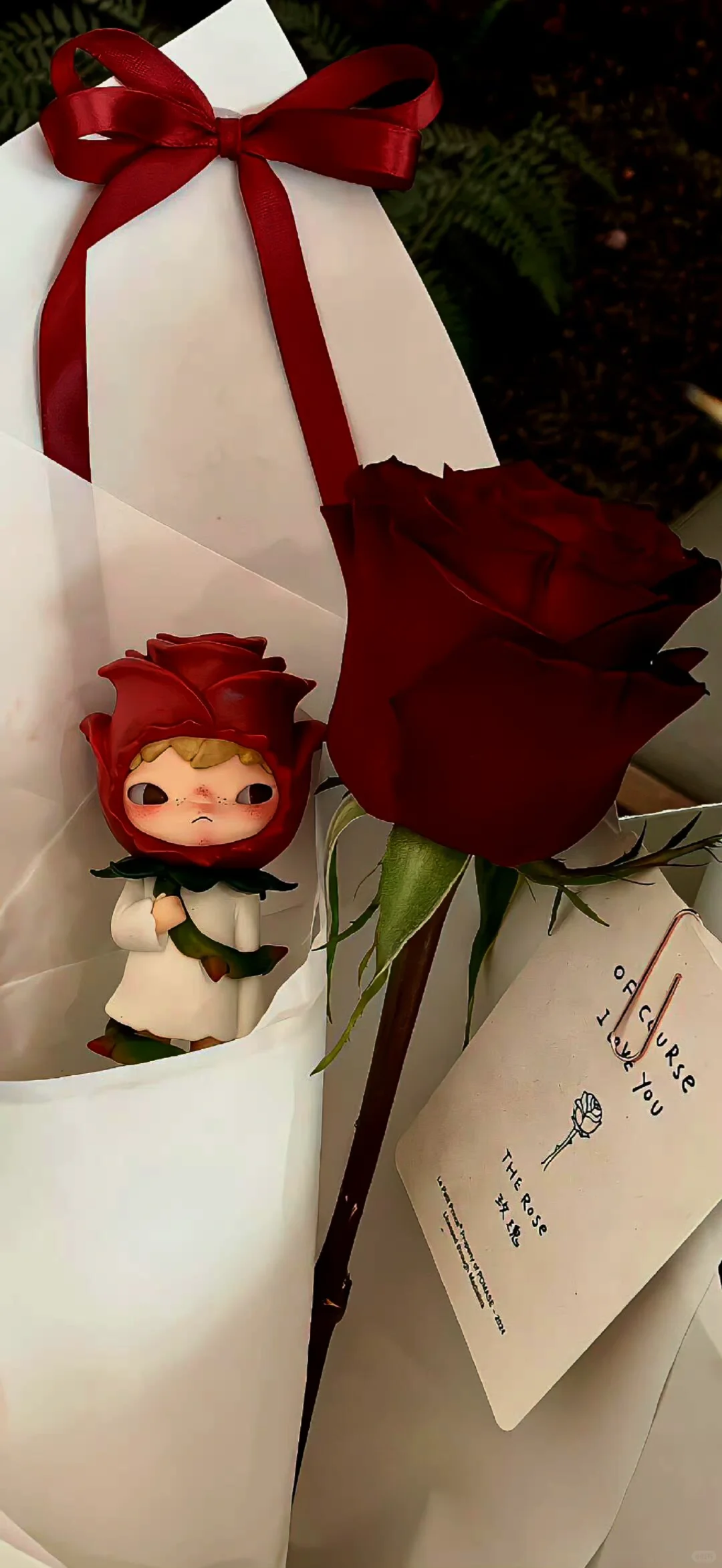 ins风高清壁纸ʕु•̫͡•ʔु ✧