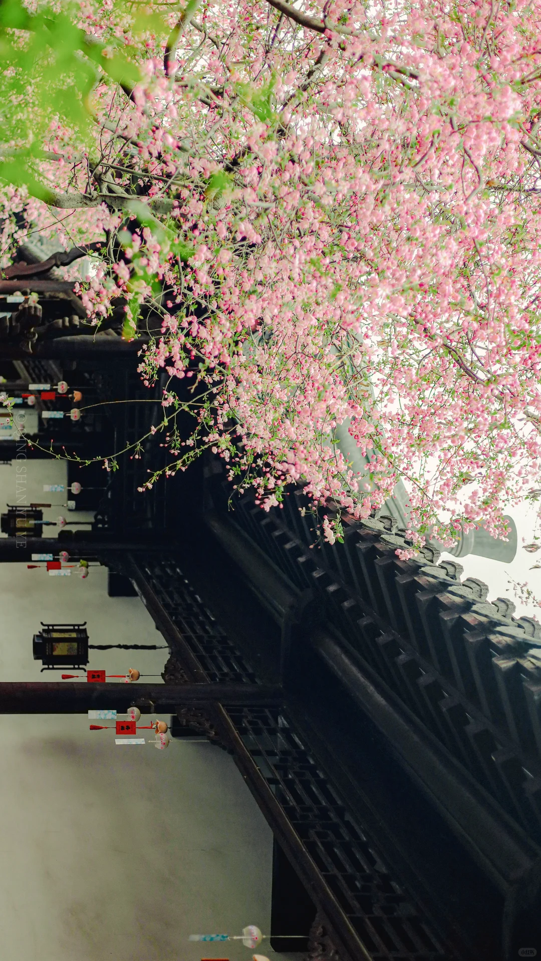 全屏封神挑战｜来看看18岁女摄拍的南京