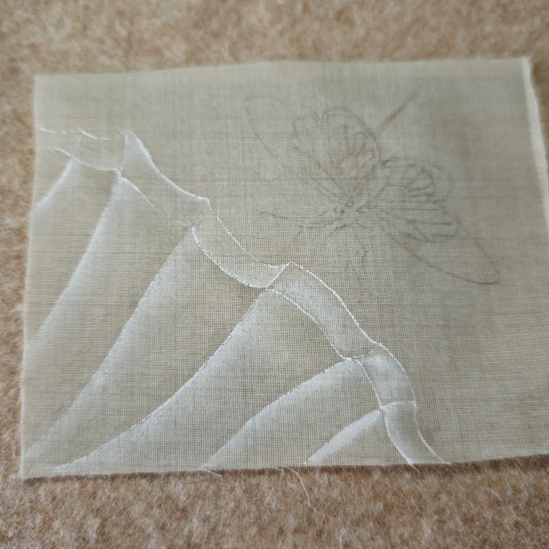 我有一帘幽梦（蝴蝶与蕾丝）