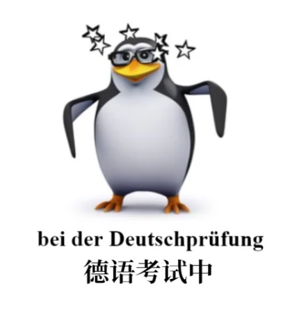 更适合德专生的高雅人士企鹅meme！