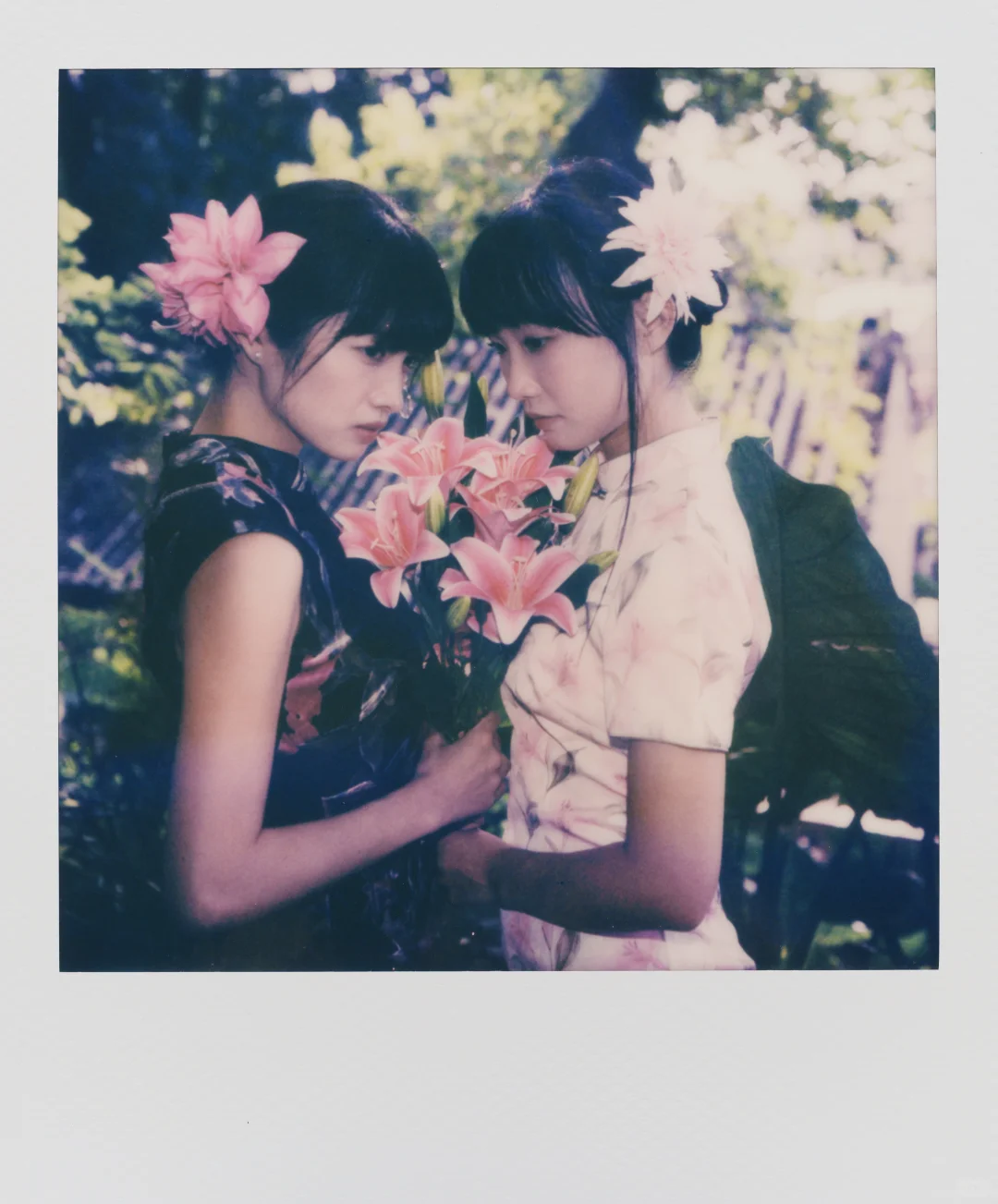 宝丽来｜女人如花花似梦