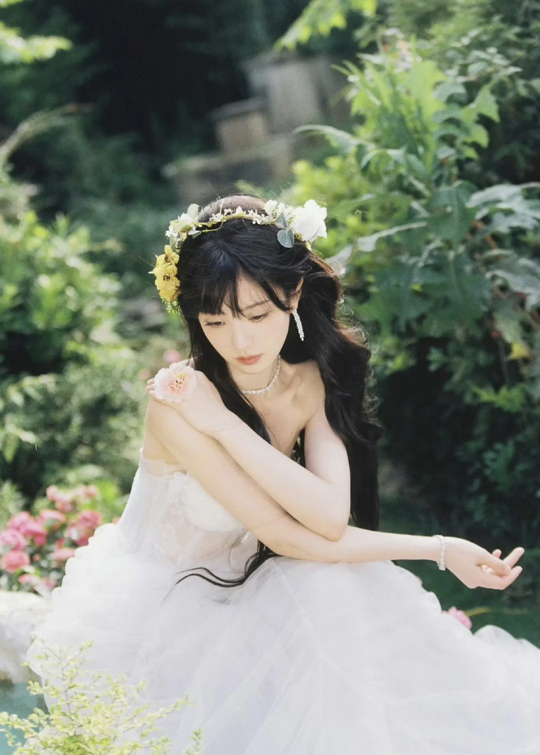 田曦薇-夏日开端野蔷薇