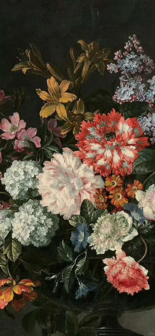 ◡̈ 𝐘𝐞𝐞𝐞𝐞 ✌︎ ⸝⸝ 每日壁纸