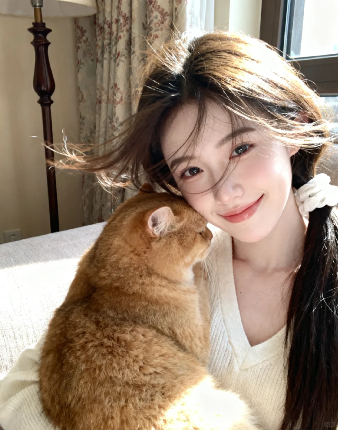 谁能拒绝会陪我晒太阳的橘猫呢✨