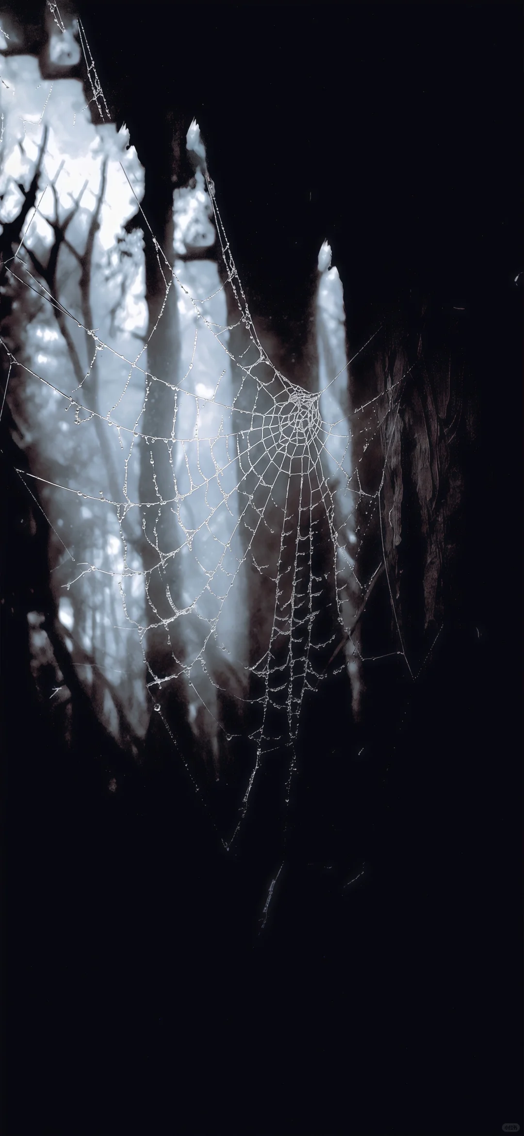 被你发现了宝藏壁纸