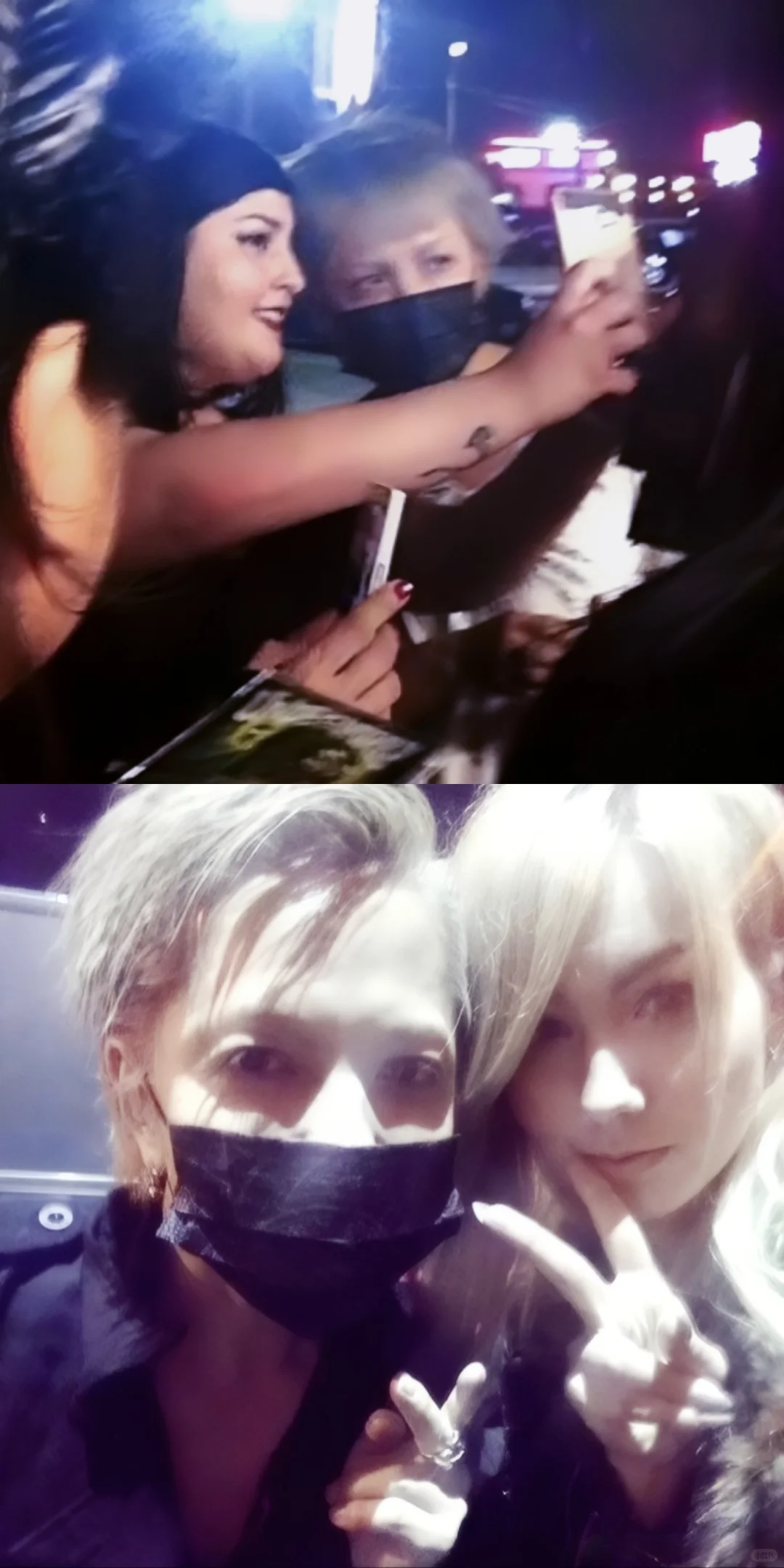 撒娇是小猫最好的嫁妆 ⁺ฅ😽ฅ⁺