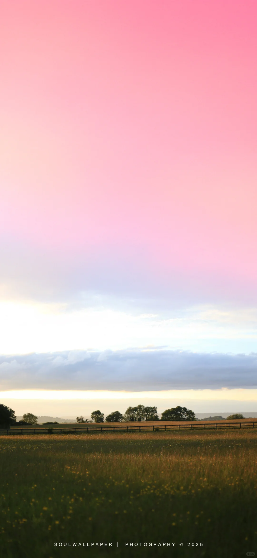 𝓒𝓸𝓬𝓸𝓷𝓾𝓽丨壁纸赏鉴2501022