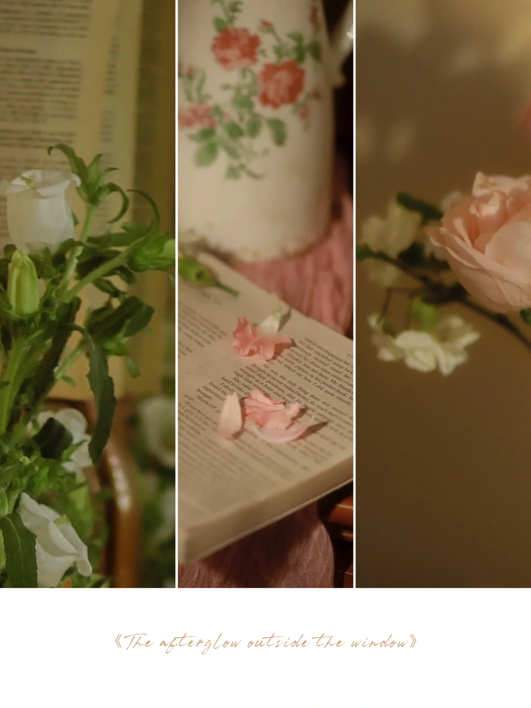 𝓅𝒶𝓁𝓅𝒾𝓉𝒶𝓉ℯ 𝓌𝒾𝓉𝒽 ℯ𝓍𝒸𝒾𝓉ℯ𝓂ℯ