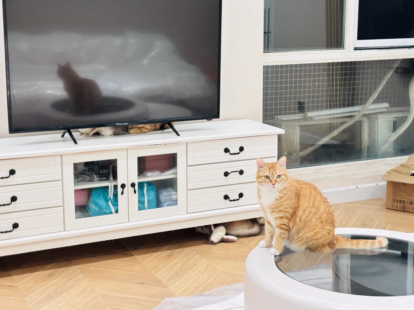 会撒娇的长得好看的你选哪个？