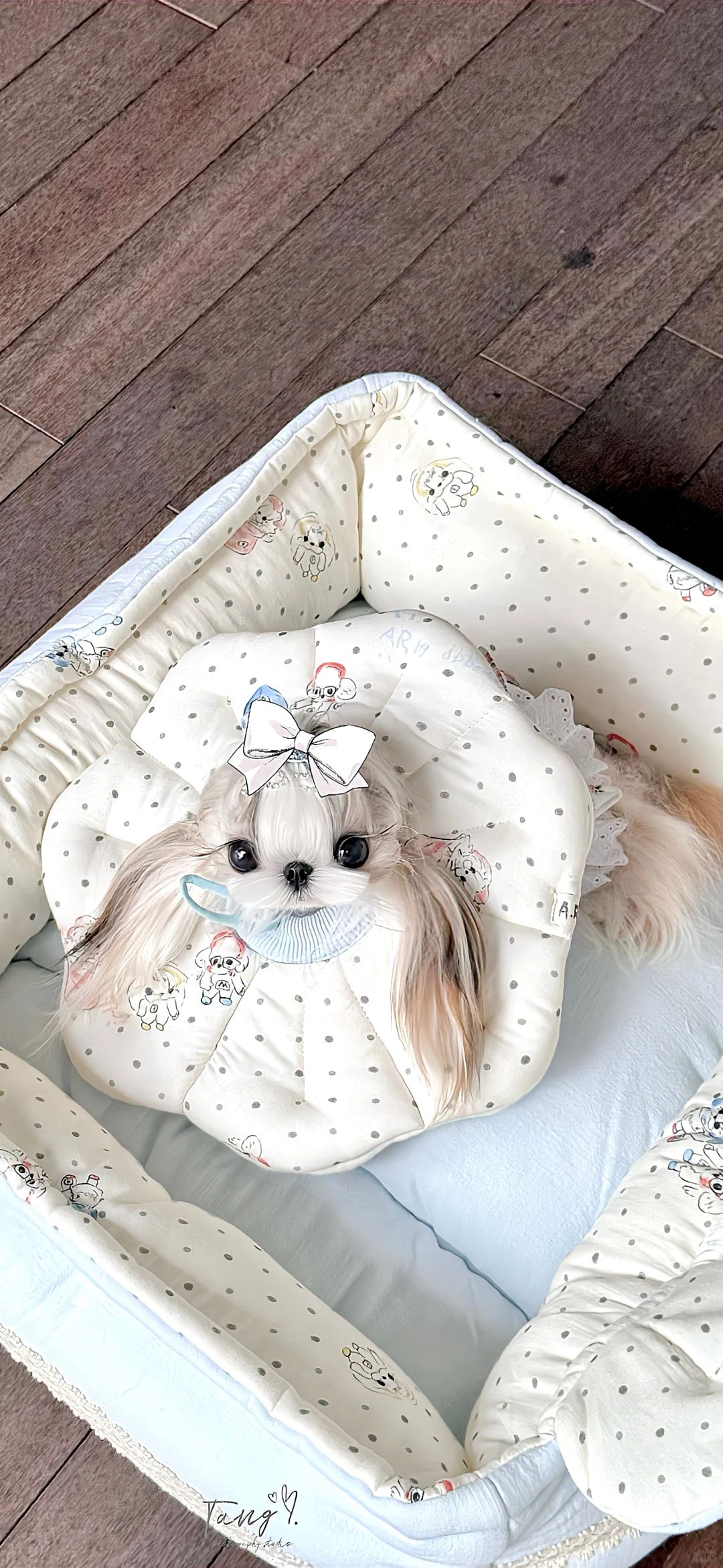 𝐒𝐡𝐚𝐫𝐞丨ins小众壁纸❄