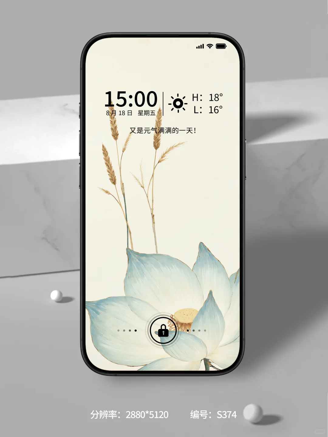 荷韵悠长，岁月华章，治愈系壁纸