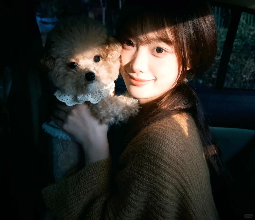 WeChat🍃 | 申请成为你的头像