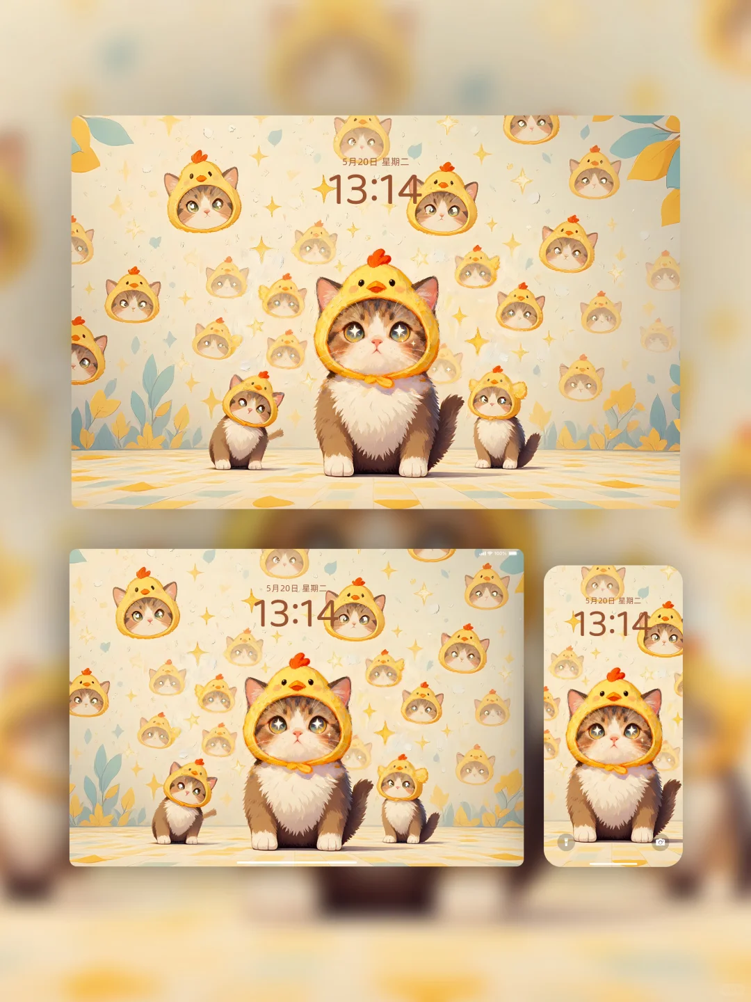 新8k超清壁纸！！治愈小猫🐱