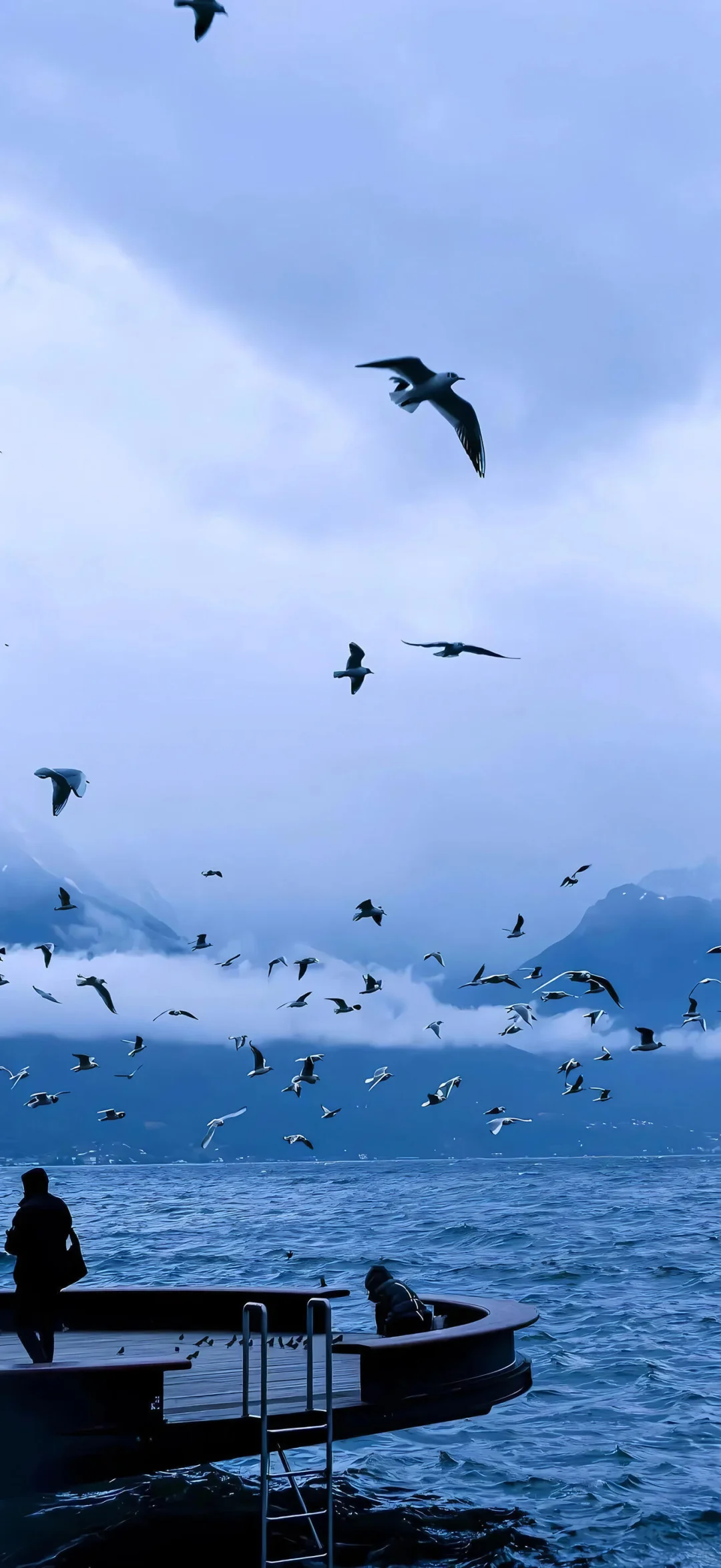 冬日雪景❄️壁纸