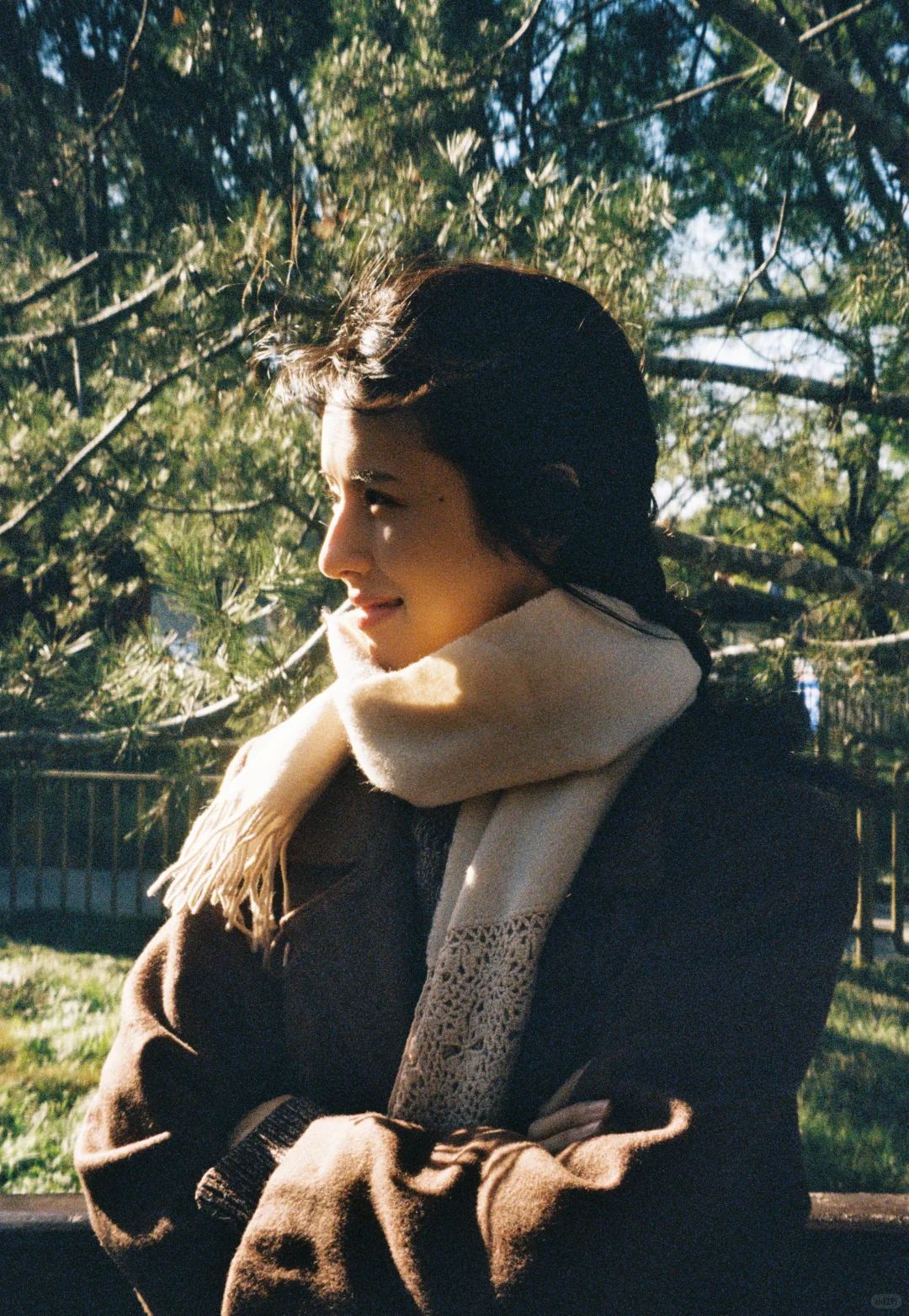 鹤男秋日氛围感写真