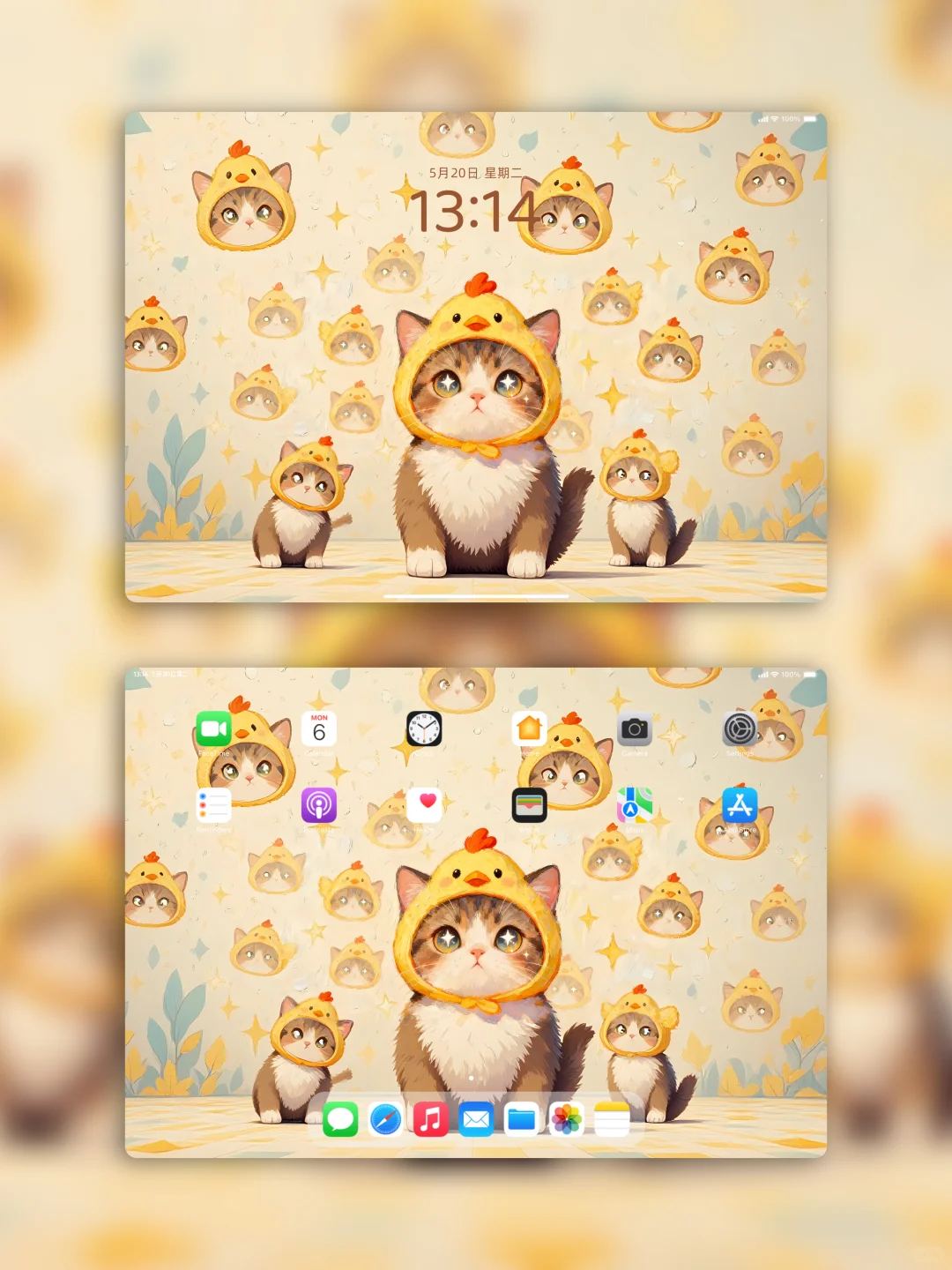 新8k超清壁纸！！治愈小猫🐱