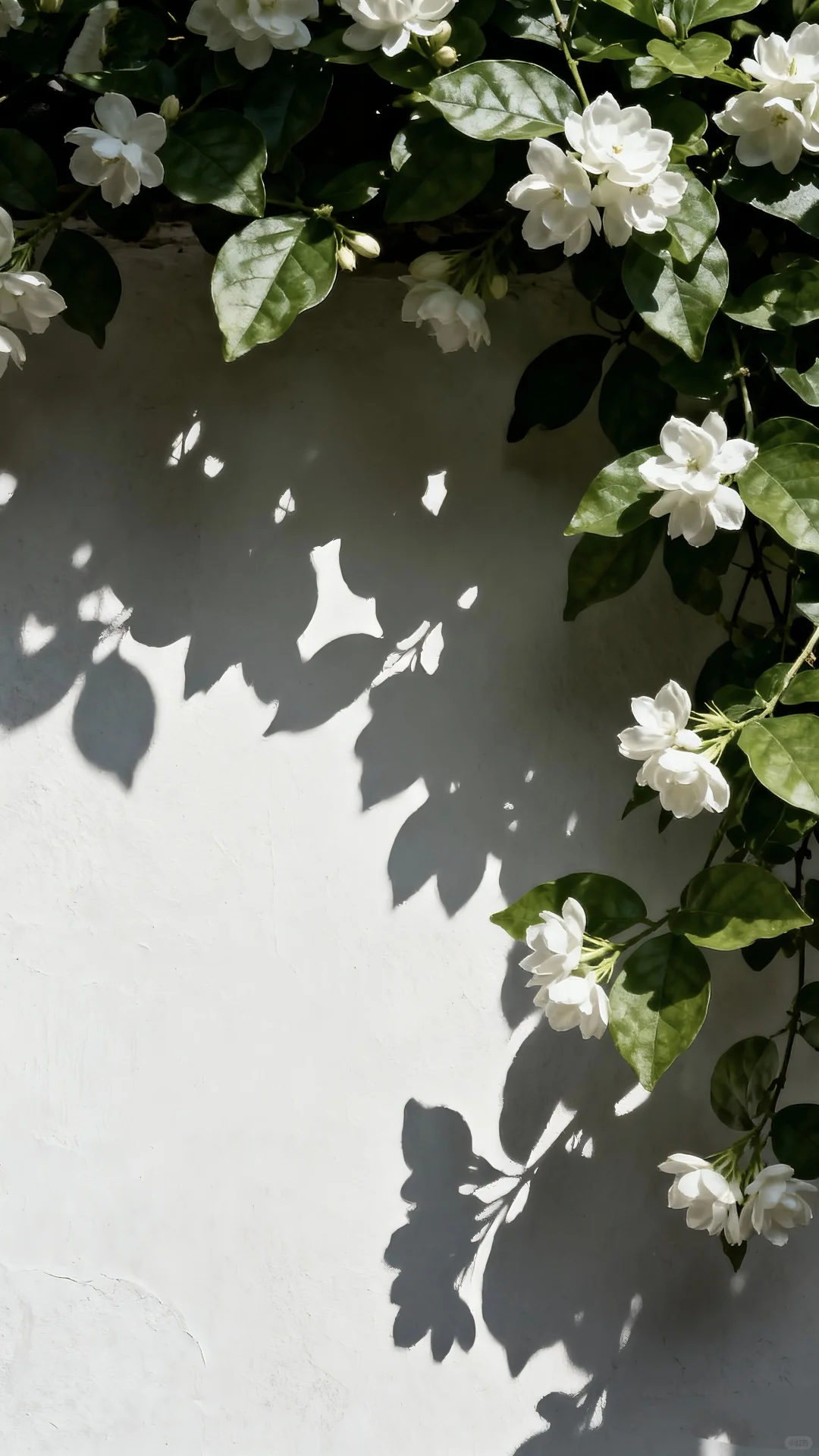 值得换的高清壁纸