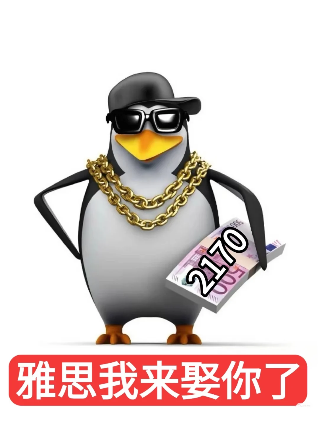 雅思人专属的企鹅🐧表情包来喽🔥