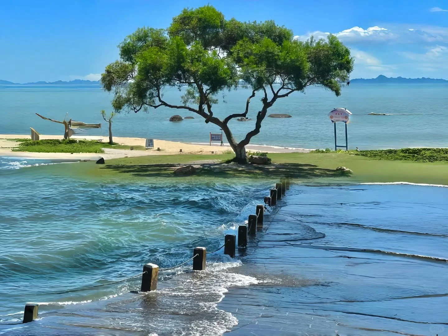 𝑺𝒉𝒂𝒓𝒆 | iPad壁纸