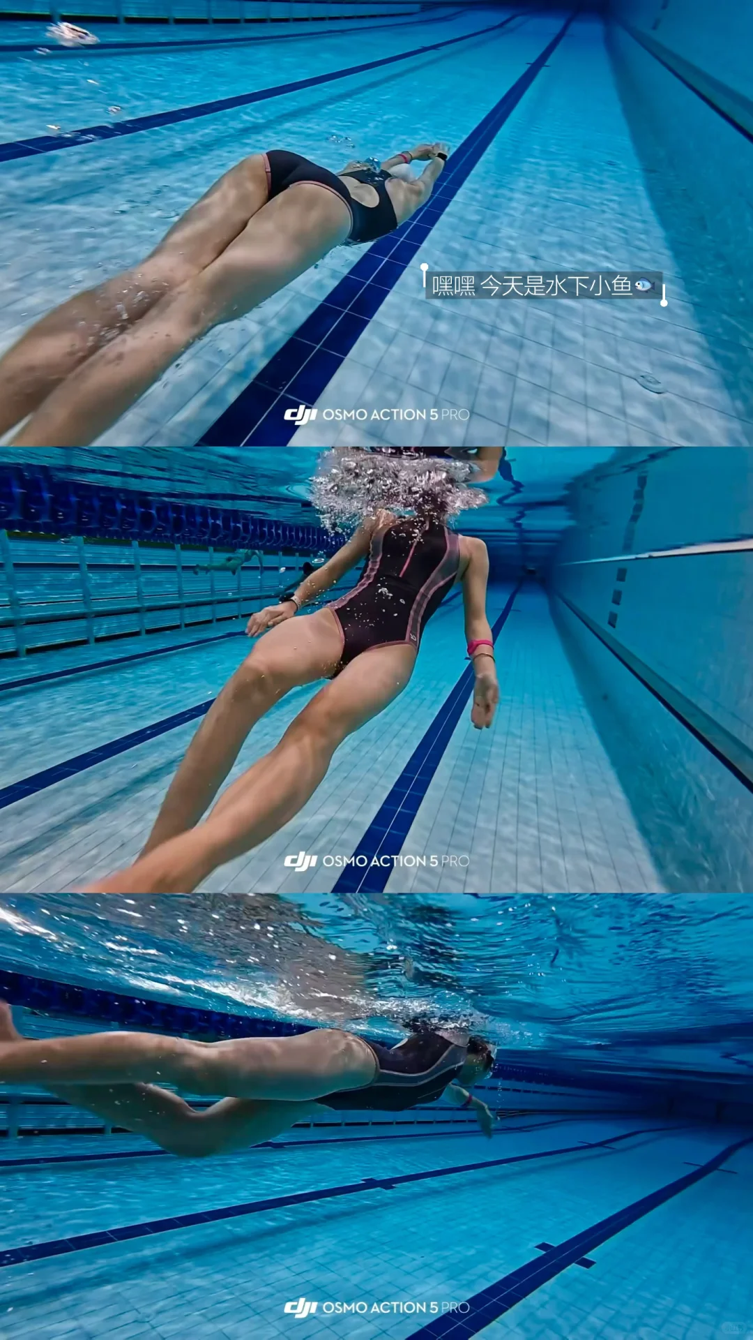 11.5 游了/ 🐬奥体的水真的好清💦