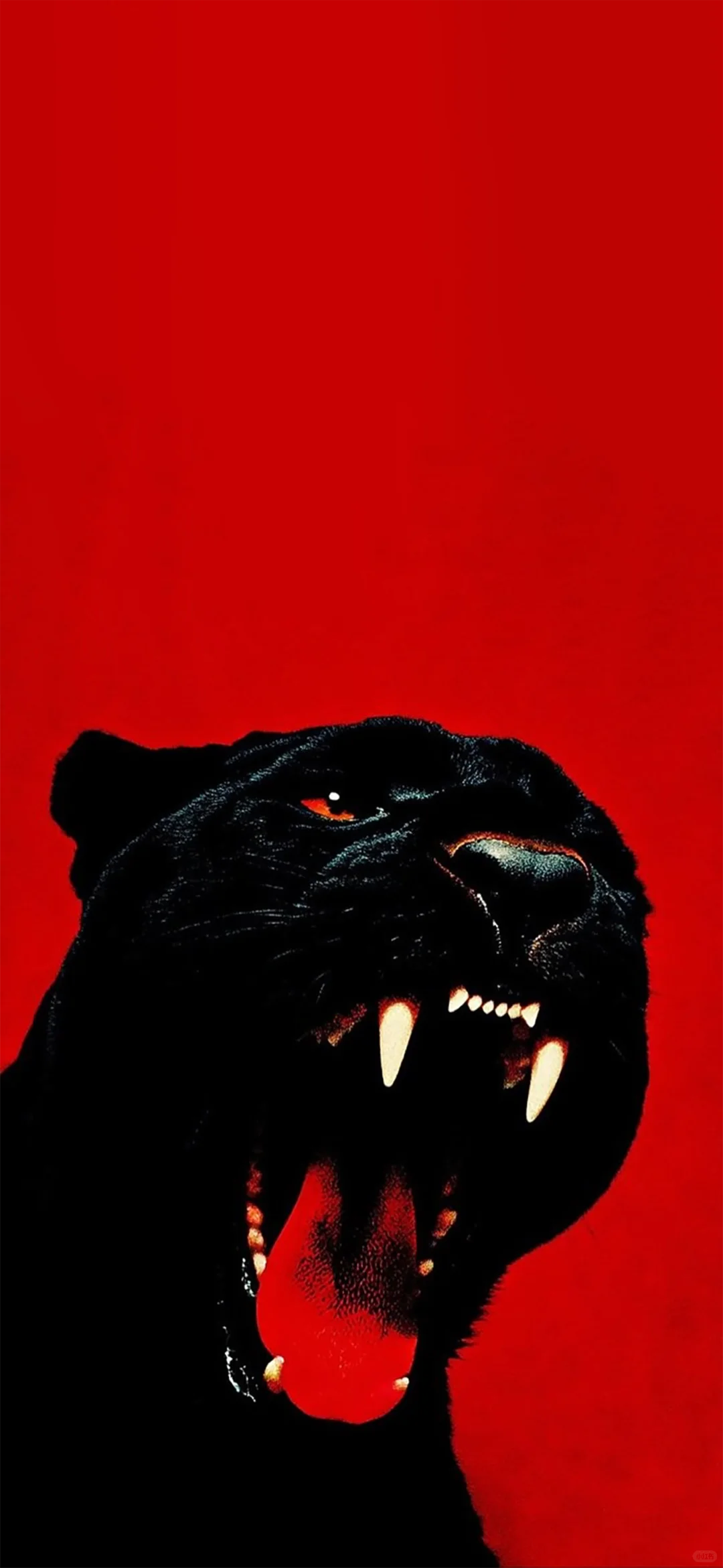 被你发现了宝藏壁纸