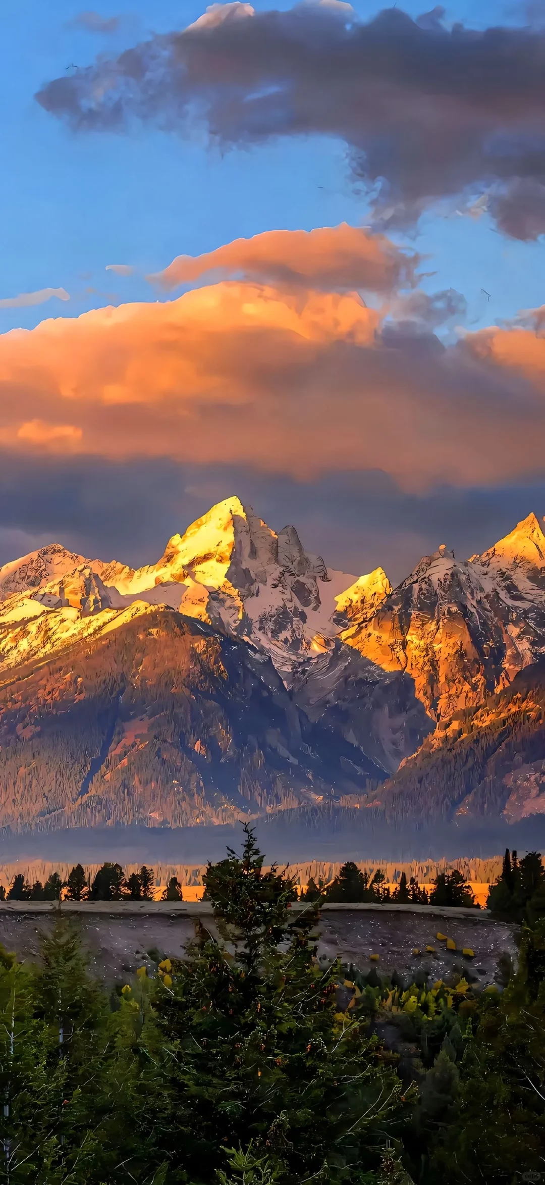 𝗦𝗵𝗮𝗿𝗲 | iPhone17 Pro Max 全屏壁纸