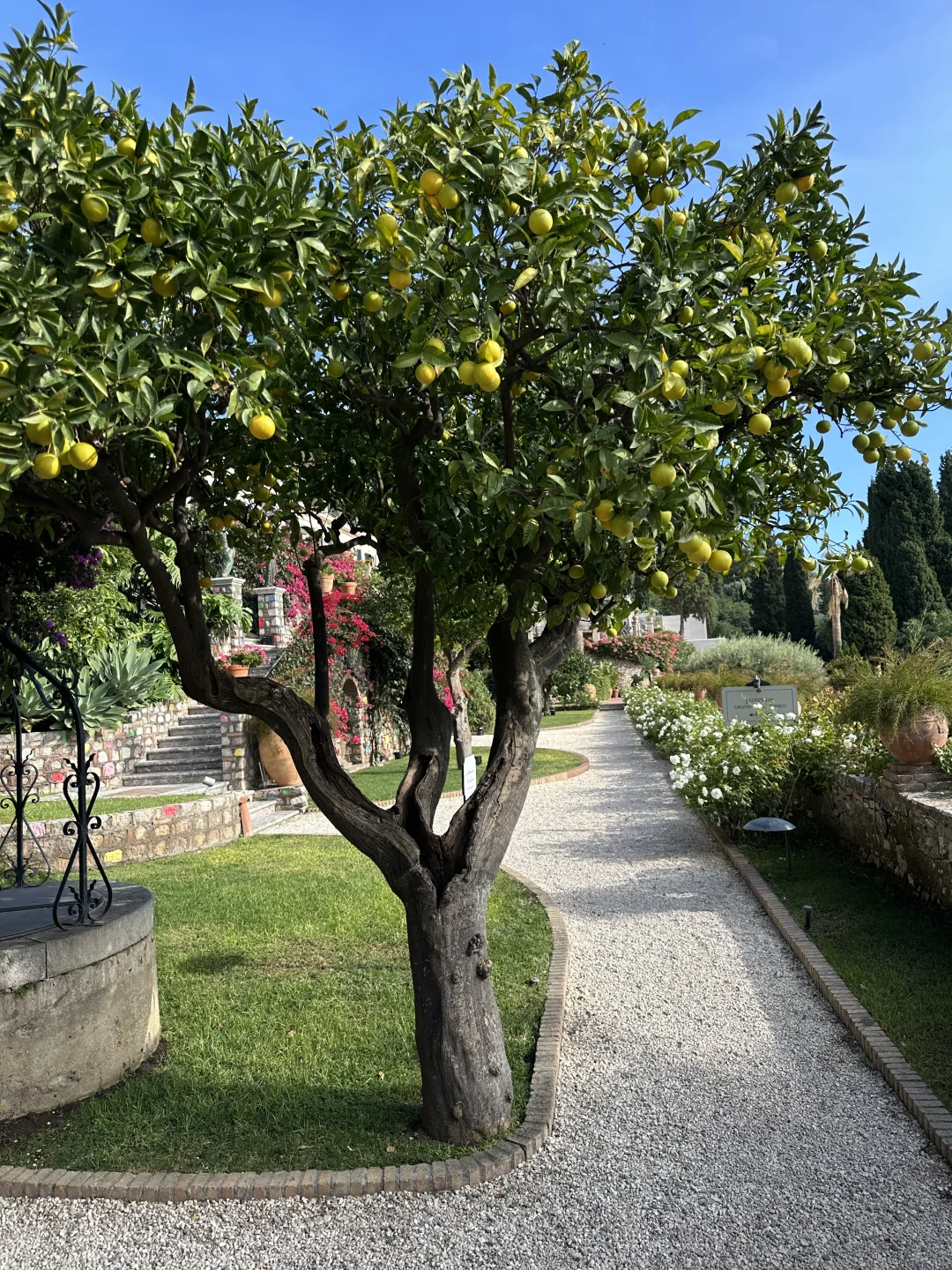 女明星度假ootd🍋属于西西里的阳光假日