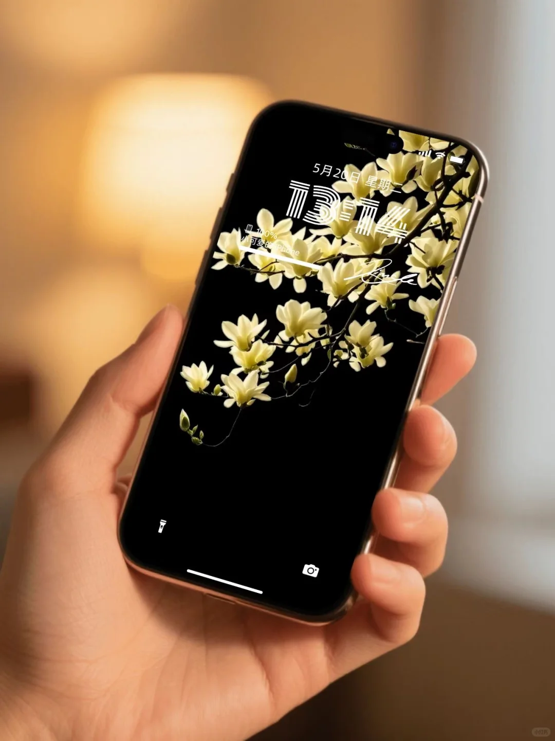 简约高级感｜玉兰花壁纸、氛围感壁纸