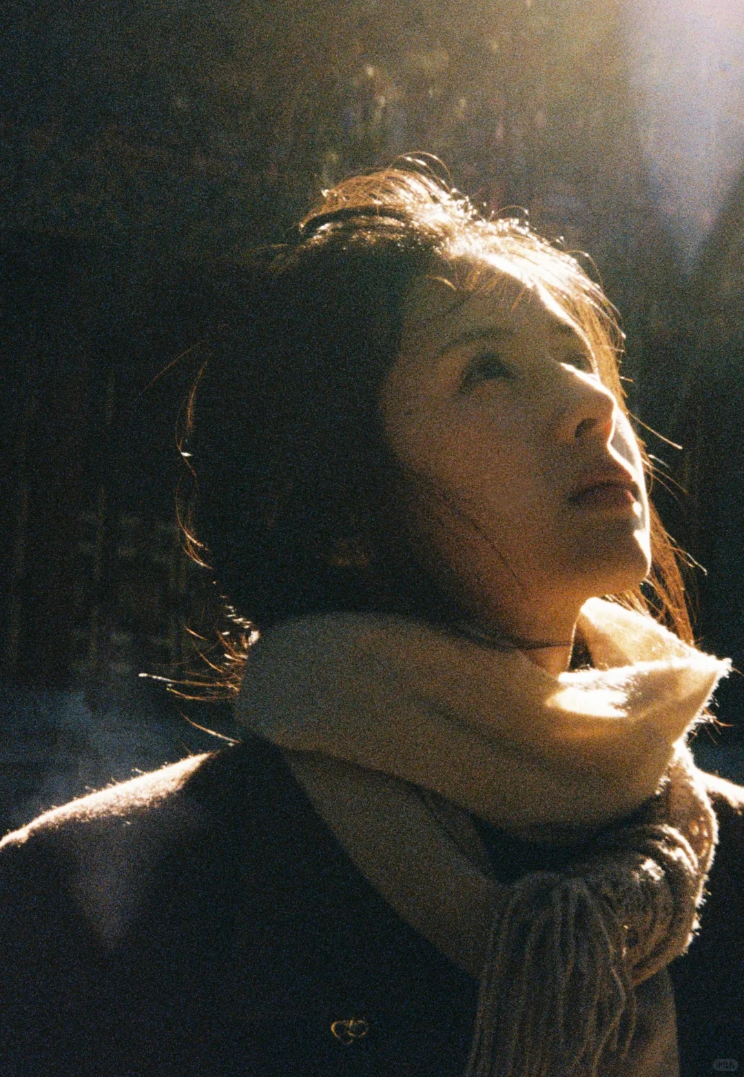 鹤男秋日氛围感写真