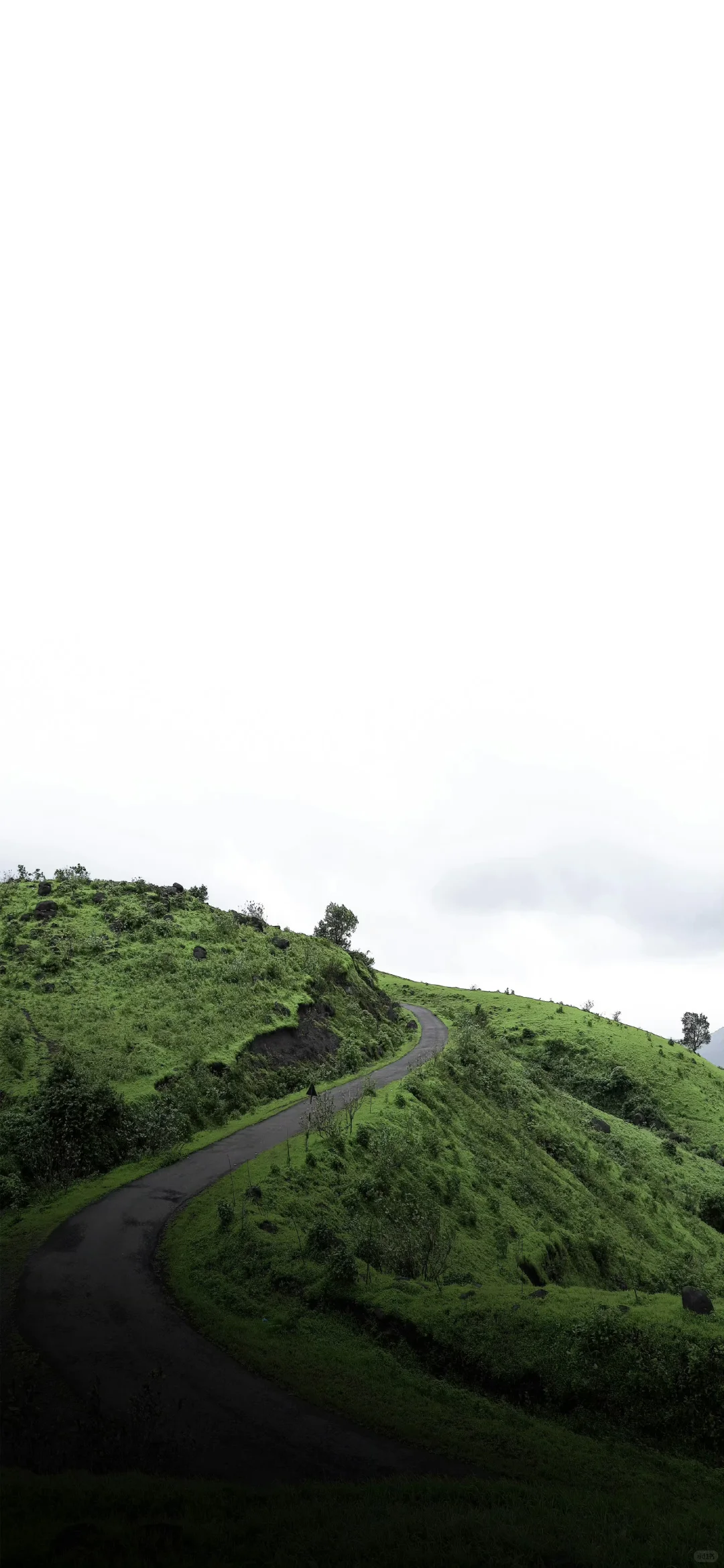 分享好看的🍎手机壁纸图集 | 拿图吱一声🤪