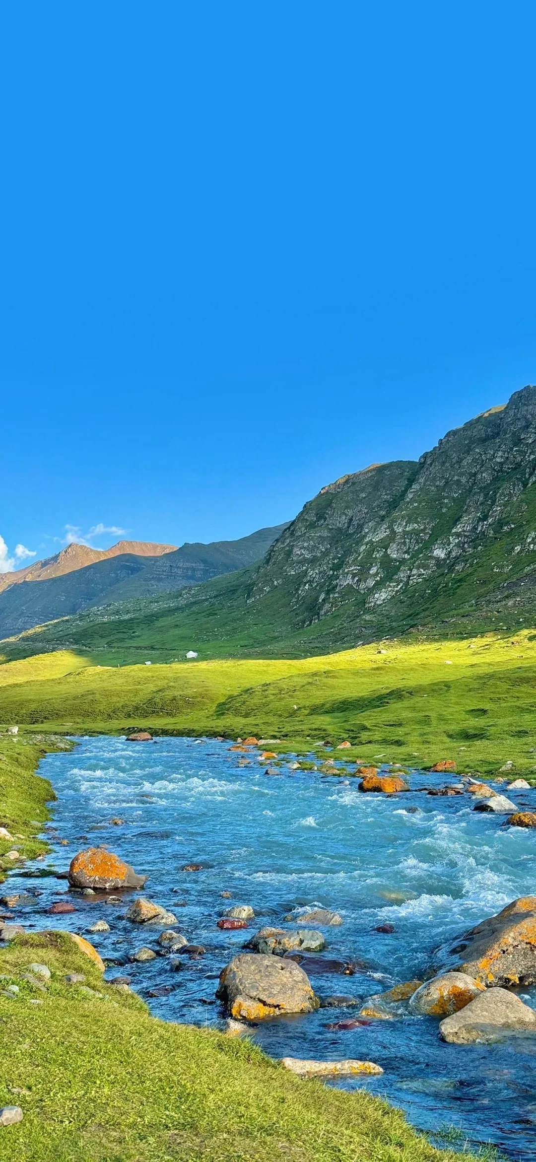治愈系高清壁纸屏保🌲