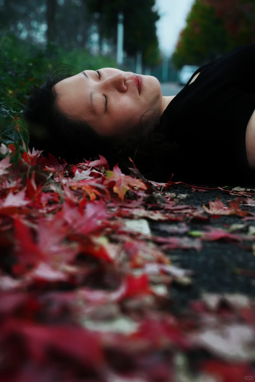 镜头记录着姐姐的自然与美📷